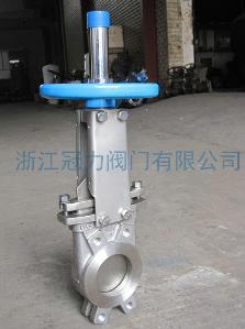 刀閘閥閘閥的專家!